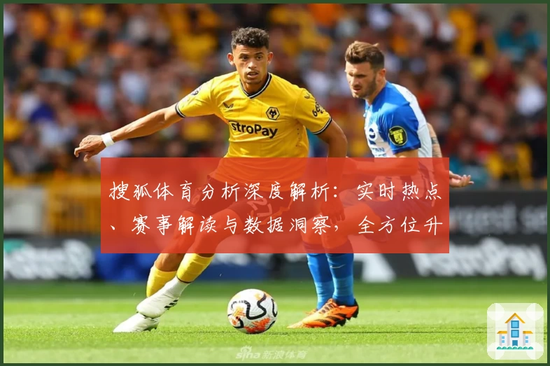 搜狐体育分析深度解析：实时热点、赛事解读与数据洞察，全方位升级观赛体验
