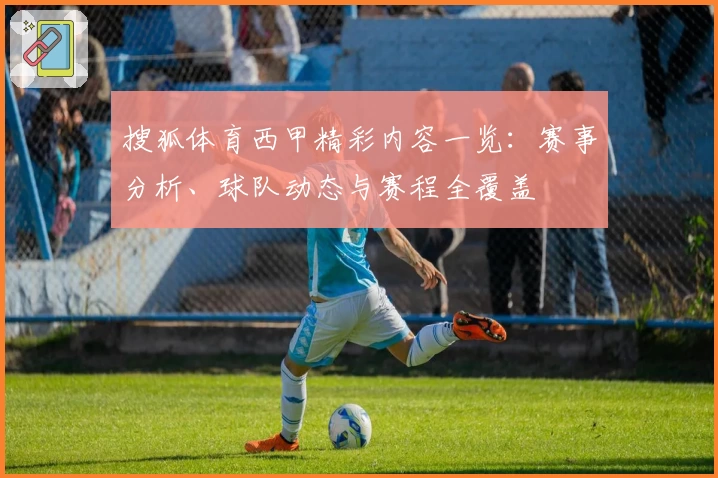 搜狐体育西甲精彩内容一览：赛事分析、球队动态与赛程全覆盖