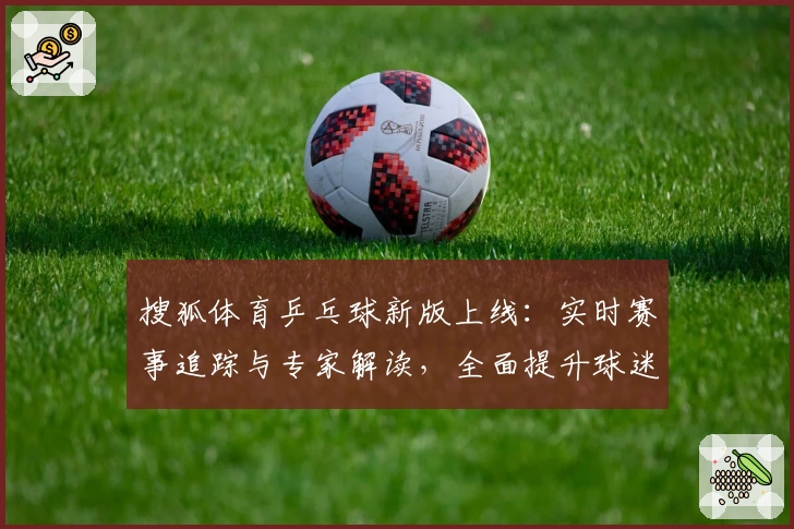 搜狐体育乒乓球新版上线:实时赛事追踪与专家解读,全面提升球迷观看体验