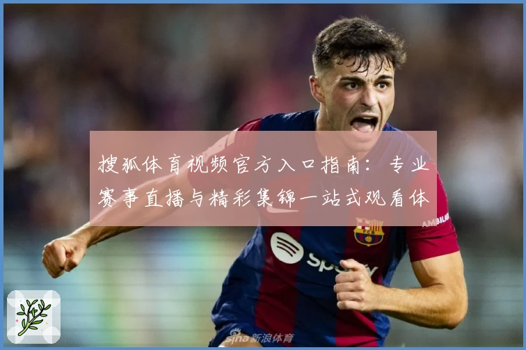 搜狐体育视频官方入口指南：专业赛事直播与精彩集锦一站式观看体验