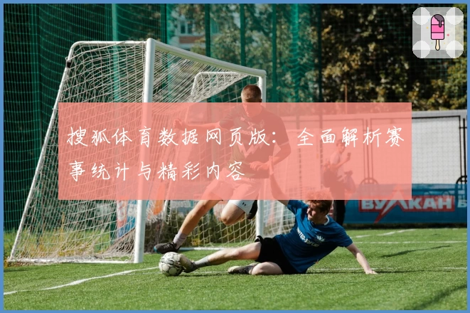 搜狐体育数据网页版：全面解析赛事统计与精彩内容